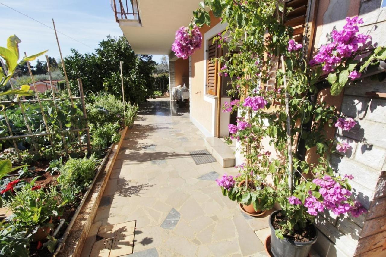 Apartments Marija سافودغيا المظهر الخارجي الصورة